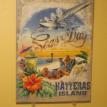 Seas the Day